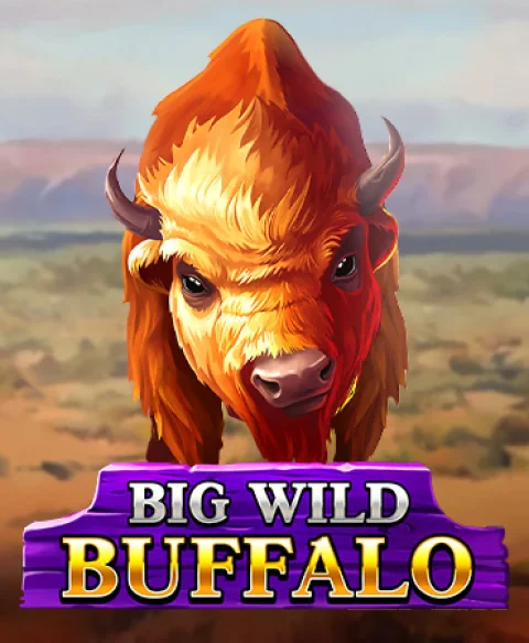 Spill Big Wild Buffalo på Black Spins Casino